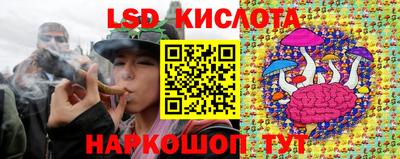 прущие грибы Анапа