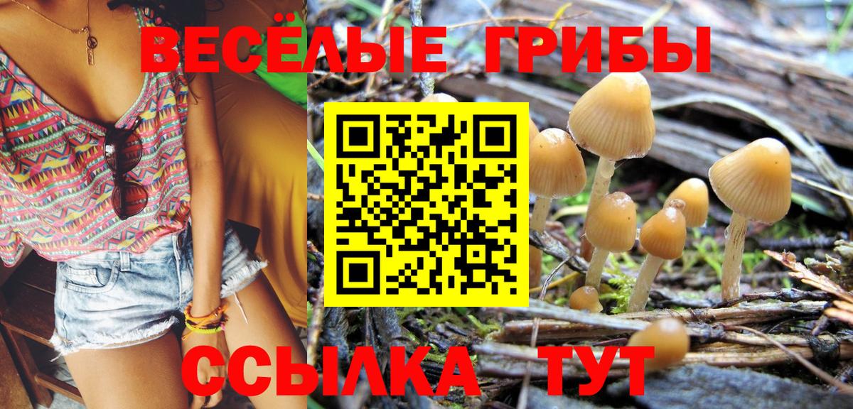 Александров  Псилоцибиновые грибы MAGIC MUSHROOMS  Вход с VPN 