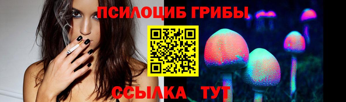 Псилоцибиновые грибы ЛСД Александров